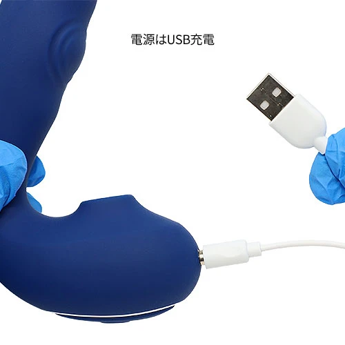 説明