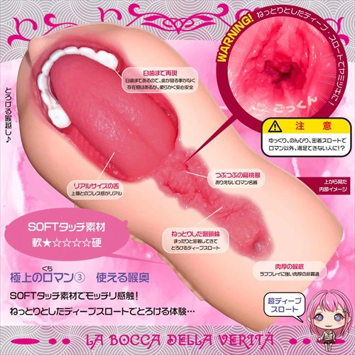 説明