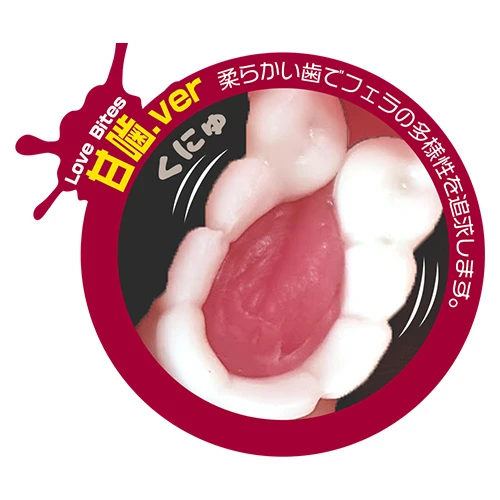 説明