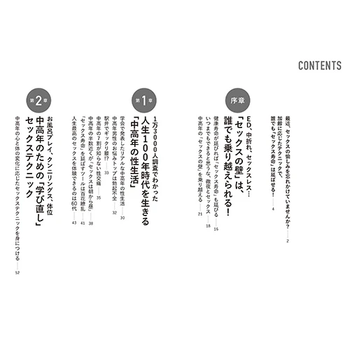 説明
