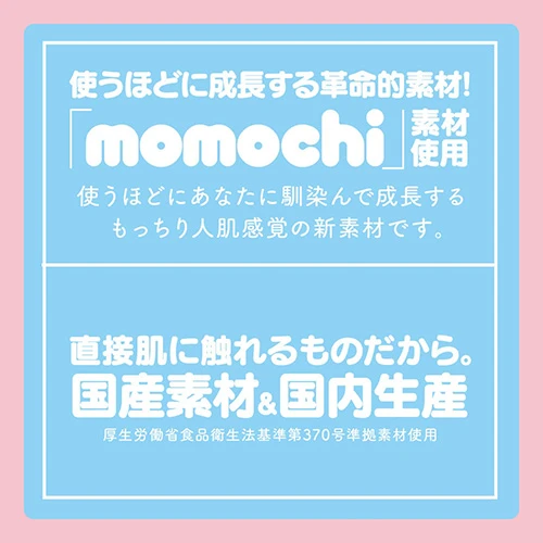 説明