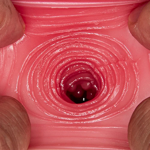 猫耳にゃん にゃん 七沢みあ