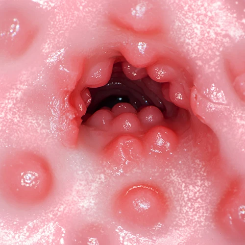 猫耳にゃん にゃん 七沢みあ