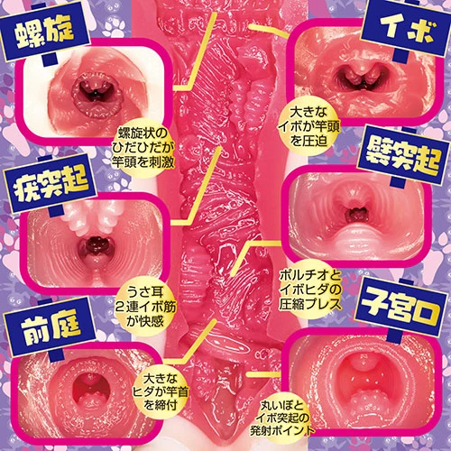 エロカワうさぎ りっかぴょん 小野六花