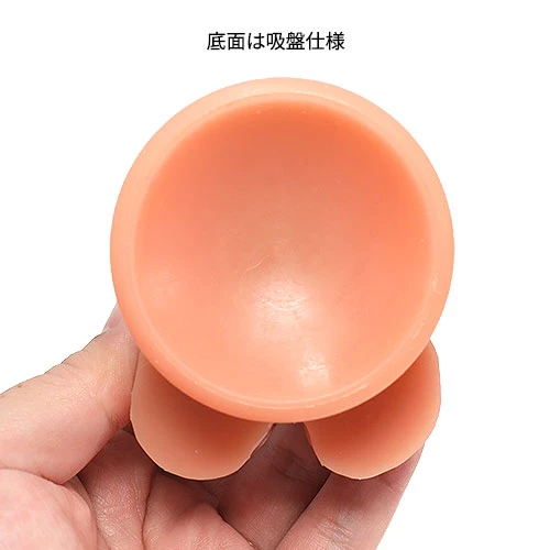 説明