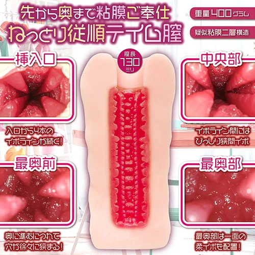 つんでれメイドをテイムした！（NTWA-035）