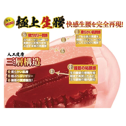 極上生腰 ミニ 森日向子