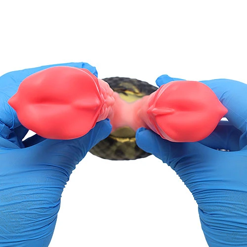 【双璧】 TWINS 双頭ディルド アナルプラグ【蛇苺赤】・XSサイズ