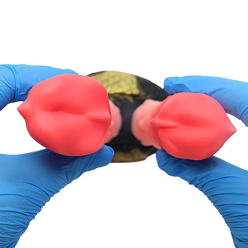 【双璧】 TWINS 双頭ディルド アナルプラグ【蛇苺赤】・Sサイズ