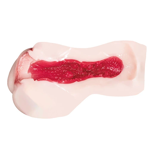 日本の若妻 イクイク濡れ名器 椿りか