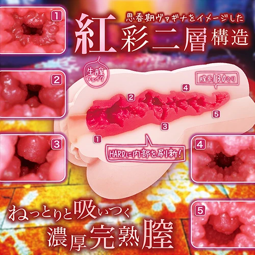 思春期エストラス硬［HARD］（NTWA-037）