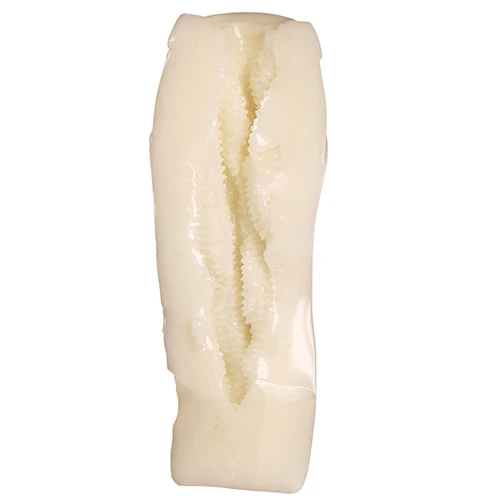 ドーナドーナ いっしょにわるいことをしよう ポルノ THE HOLE Premium（TMT-1907）