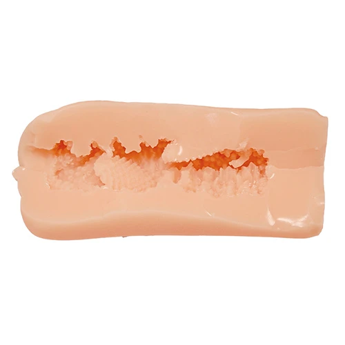 千鶴ちゃん開発日記2 ～強気な優等生をオナホ扱い～（TMT-1920）