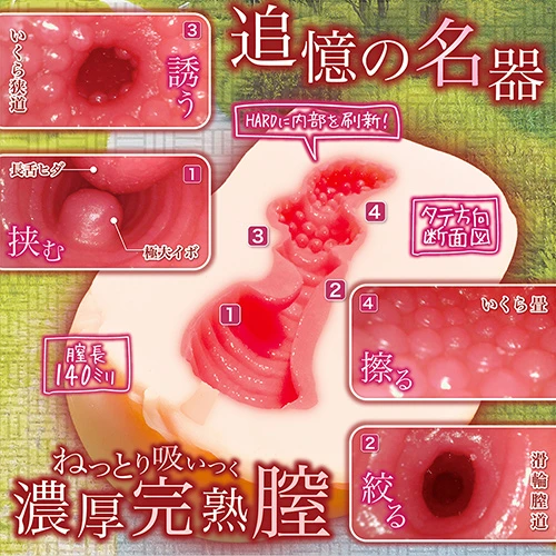 思春期サンクチュアリ硬［ＨＡＲＤ］（NTWA-043）