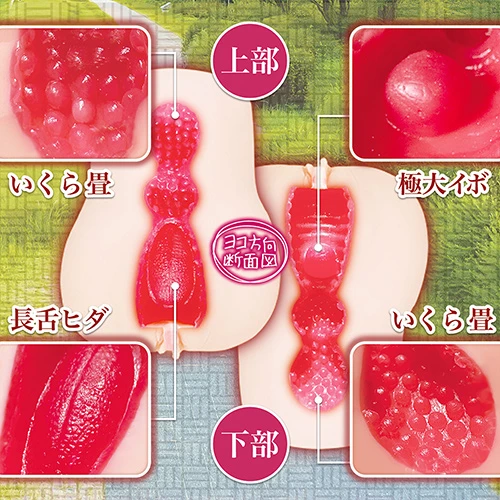 思春期サンクチュアリ硬［ＨＡＲＤ］（NTWA-043）