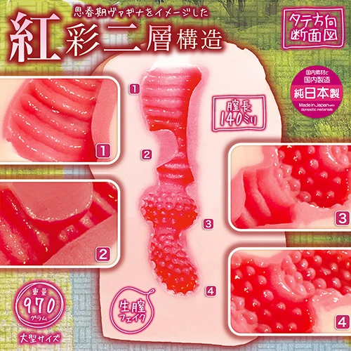 思春期サンクチュアリ硬［ＨＡＲＤ］（NTWA-043）