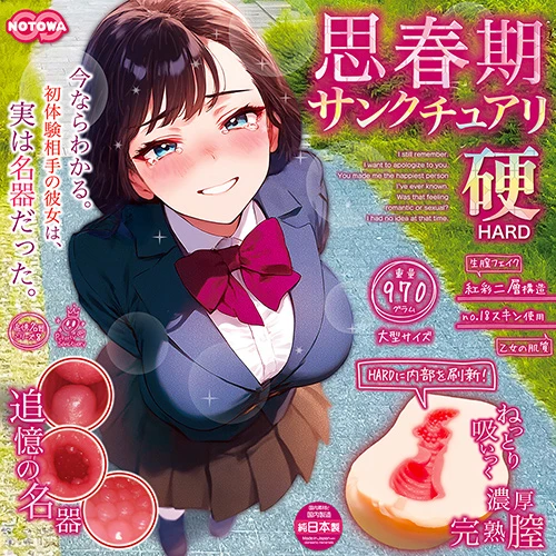 思春期サンクチュアリ硬［ＨＡＲＤ］（NTWA-043）