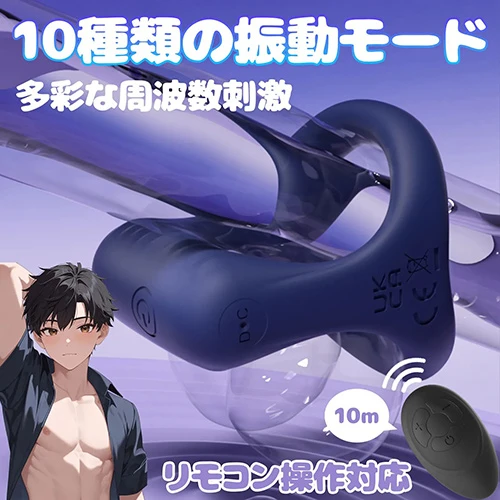 説明