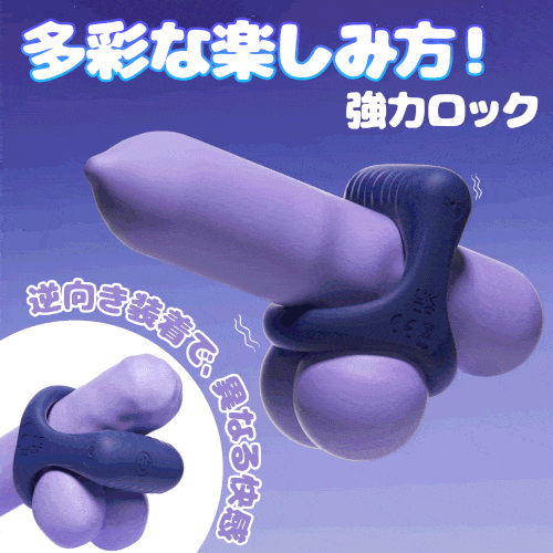 説明