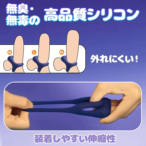 説明