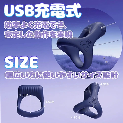 説明