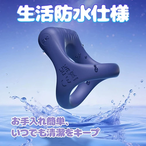 説明