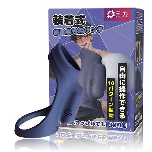 説明