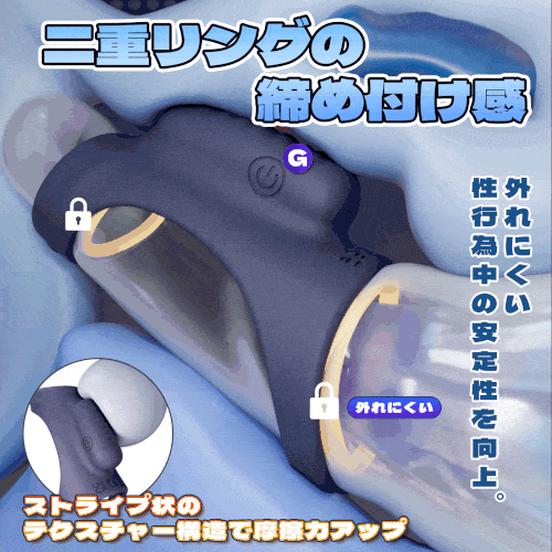 説明