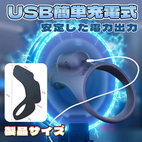 説明