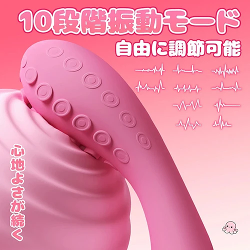 説明