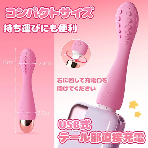説明