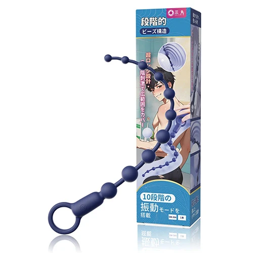 説明