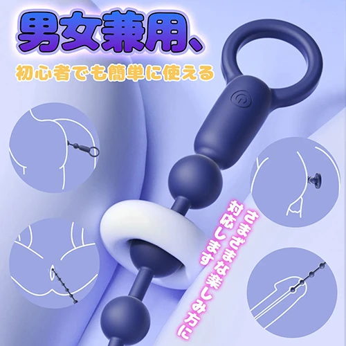 説明