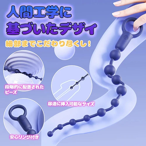 説明