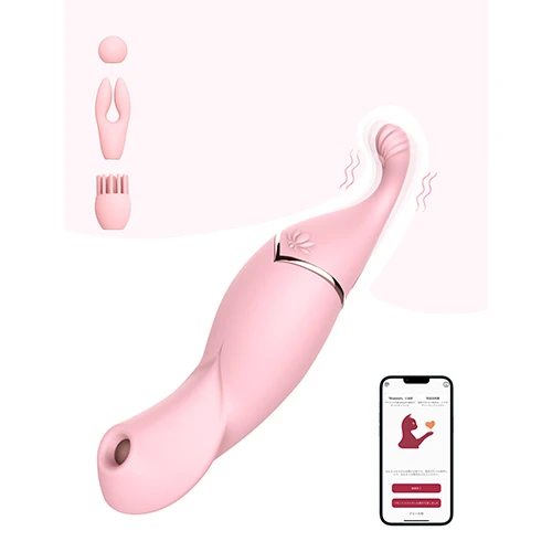 説明
