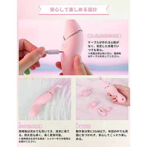 説明