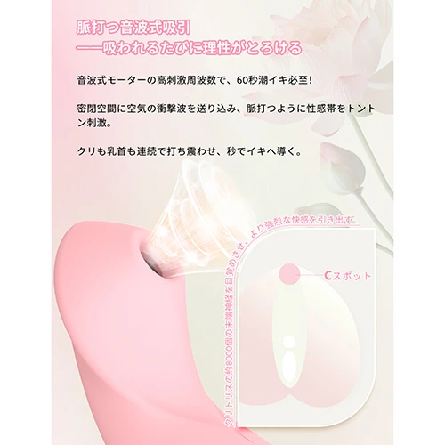 説明