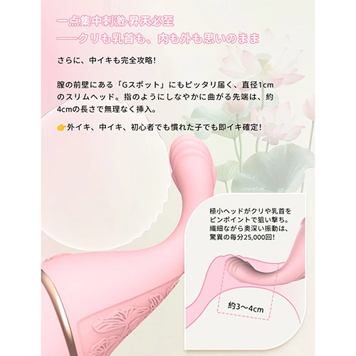 説明