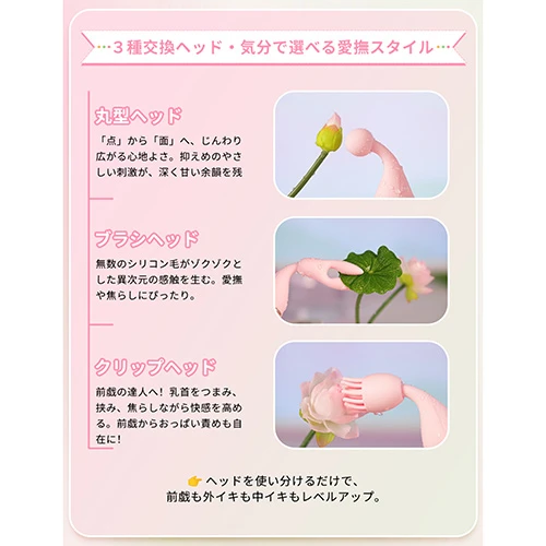 説明