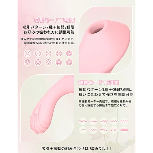 説明