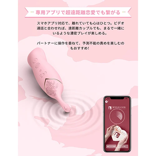 説明