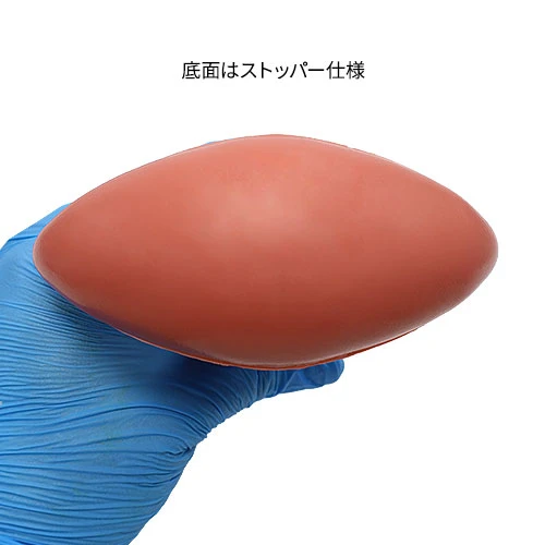 【縛拡張缶 Dick Plug】L Size（DP-103）