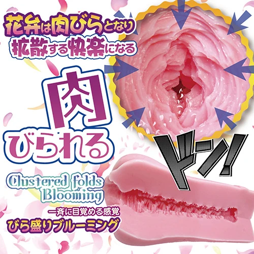 【5/15発売予定】びら盛りブルーミング
