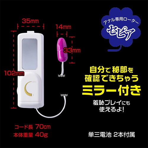 説明