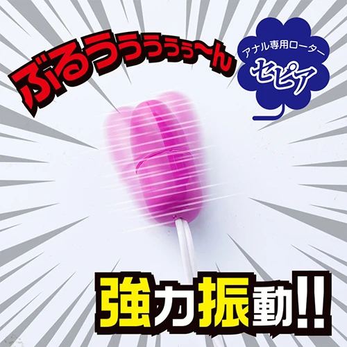 説明