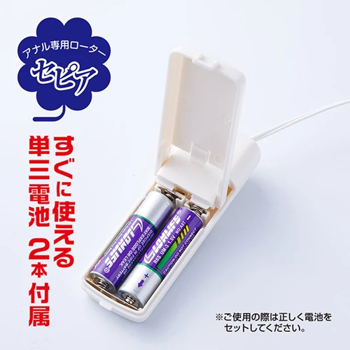 説明