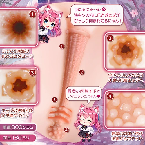 ゴロにゃん淫ぱるす！（NTWA-048）