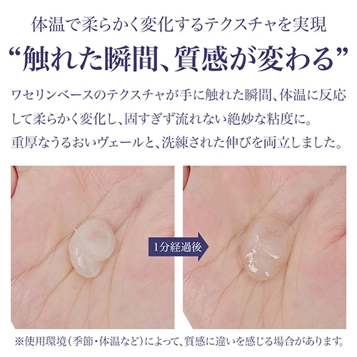 説明