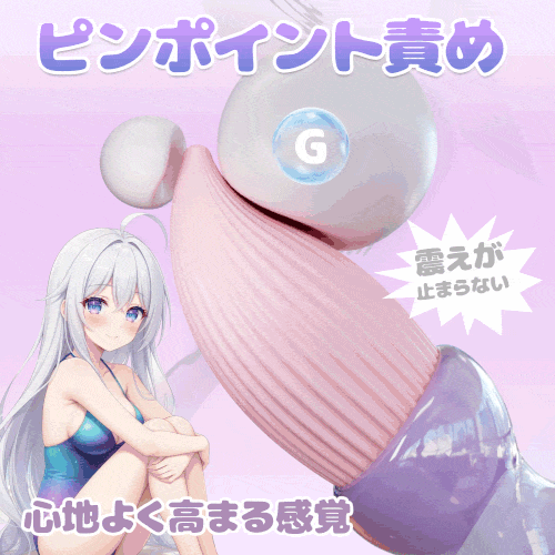 説明