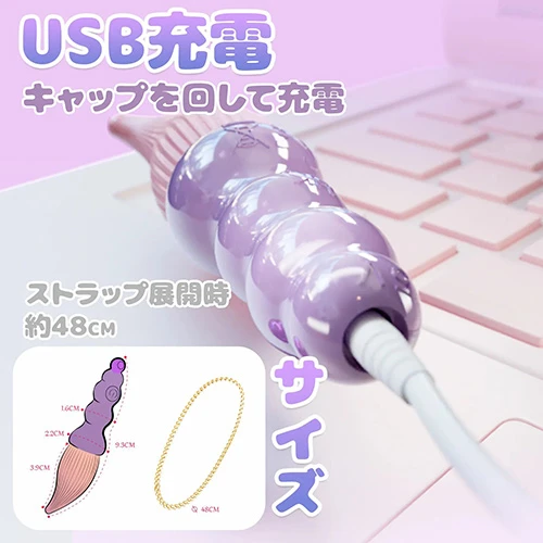 説明